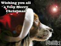 wishing you all a merry christmas - Gratis animerad GIF