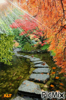 Fallin' Into Autumn - GIF animado gratis