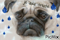 Triste chien - GIF animé gratuit