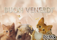 BUON VENERDI' - 無料のアニメーション GIF