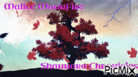 Shannara Chronicles - GIF animé gratuit