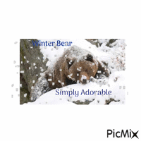SnowyBear - 免费动画 GIF