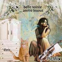 belle soiree - Бесплатный анимированный гифка