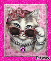 chatte a lunette animowany gif