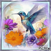 Kolibri - Bezmaksas animēts GIF