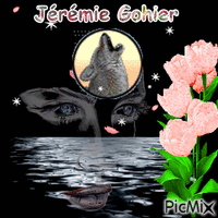 Jérémie Gohier - Безплатен анимиран GIF