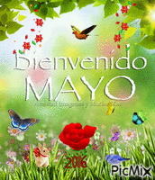 mayo - Бесплатный анимированный гифка