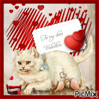 Valentine's Day Cat