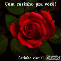 Carinho virtual - Bezmaksas animēts GIF