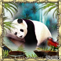 Tropical Panda - gratis png