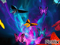 butterflies - GIF animado grátis