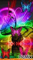 Kleurrijke vlinders GIF animé