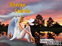 BONNE  SOIREE Animated GIF