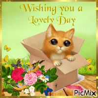 Lovely Day animowany gif