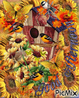 SUNFLOWERS AND OTHER ORANGE AND YELLOW FLOWERS.ORANGE BIRDS ALL AROUND, ON HANGING ON A LIMB, YELLOW SPARLKING BUTTERFLIES. SOME SMALL GREEN BUTTERFLIES. animerad GIF