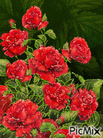 kvety анимиран GIF