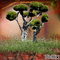 THE TREE - 免费PNG