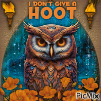 I DON'T GIVE A HOOT! - Free animated GIF