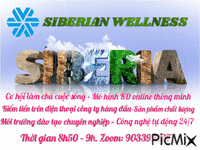 Siberian W