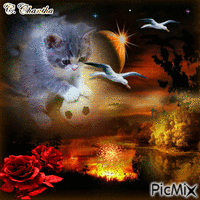 CHAT GRIS AUTOMNE Gif Animado