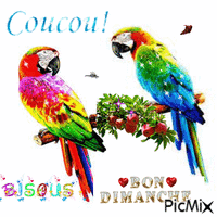 Coucou, Bisous, Bon dimanche - GIF เคลื่อนไหวฟรี