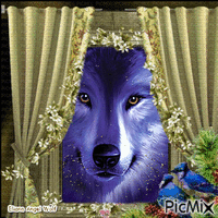 Lobo Animated GIF