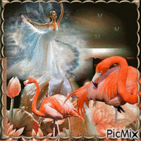 Flamant rose et ballerine - GIF animado gratis