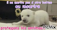 protéger les annimaux - Free animated GIF