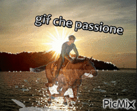 gif che passione - Zdarma animovaný GIF