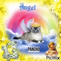 Pancho animasyonlu GIF