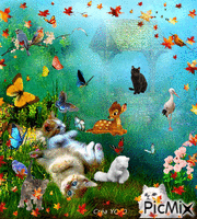 Chats & Papillons - GIF animé gratuit