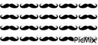 les moustaches - Animovaný GIF zadarmo