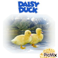 Daisy Duck animoitu GIF