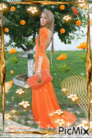 Garota Orange - Gratis geanimeerde GIF