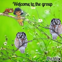 welcome owl animēts GIF