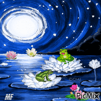 les grenouilles Animated GIF