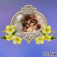 Kitten animēts GIF
