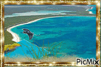 SPOTTED EAGLE RAY - Gratis animeret GIF