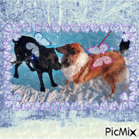 Fairy snow doggos - GIF animé gratuit