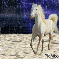 HORSE AND LIGHTNING - Free animated GIF