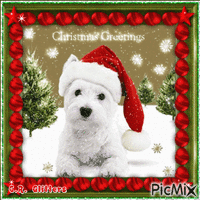 Christmas Greetings 动画 GIF
