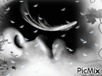 Sutil - Zdarma animovaný GIF