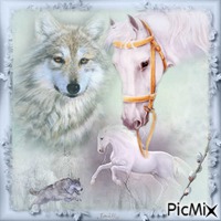 Le cheval et le loup ! - png gratis