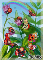 Ladybugs 动画 GIF