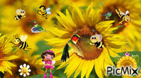 Beija-flor & Abelhas animuotas GIF