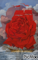 La rosa de los vientos animált GIF