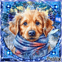 Dog in  de  Winter in  blue - GIF animate gratis