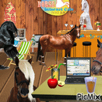 horse internet cafe and juice bar GIF animado