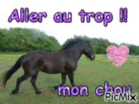 Au trop !! - Ücretsiz animasyonlu GIF