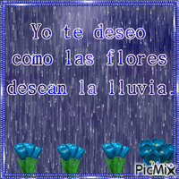 Yo te deseo como las flores desean la lluvia. GIF animé